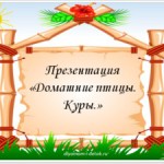 Презентация «Домашние птицы. Куры»